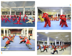 “省运会”武术队招收体尖生的公告